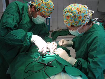 chirurgie tierarzt